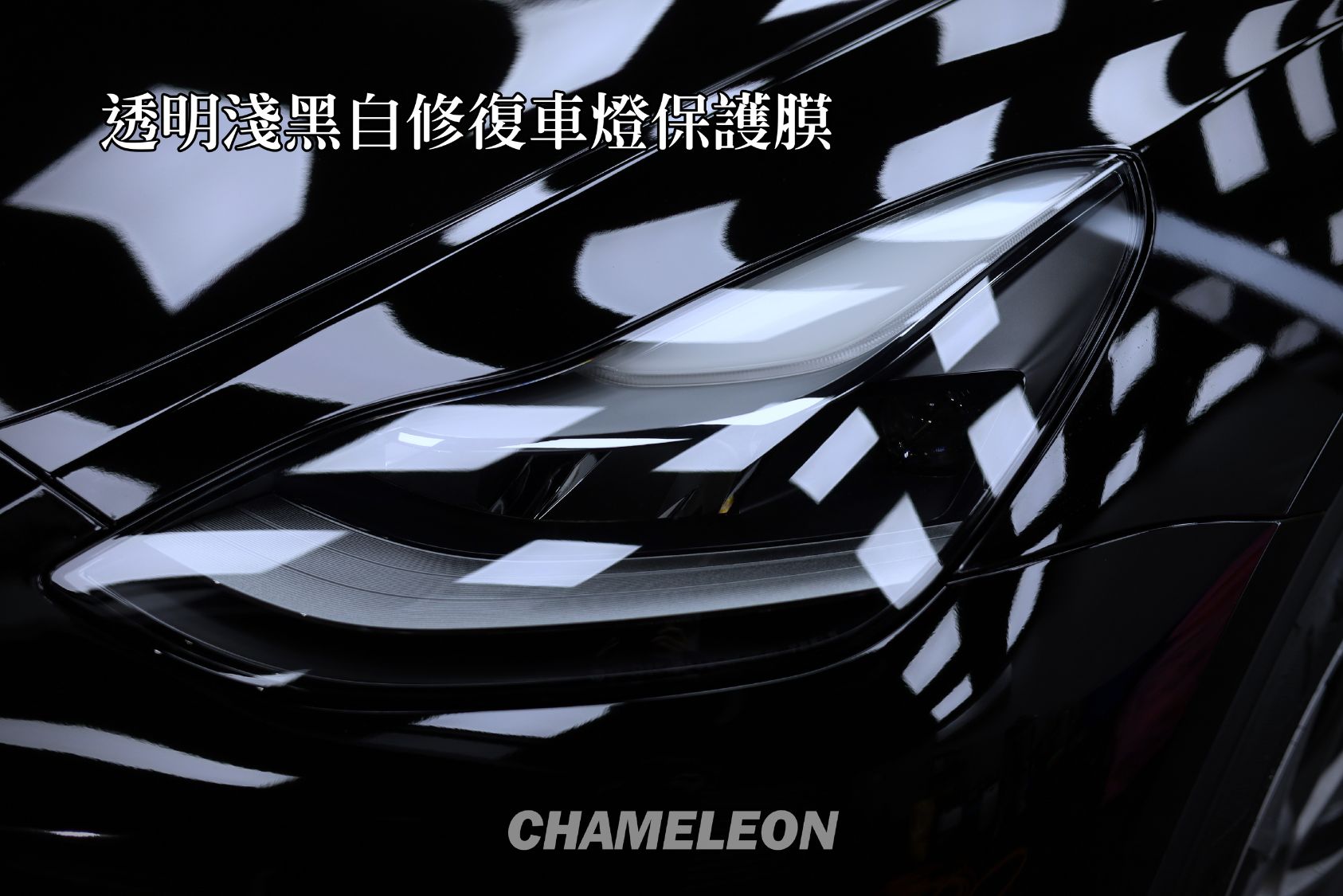 chameleon lights (4)
